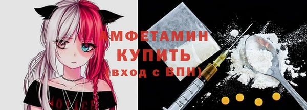 сатива Аркадак