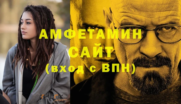 сатива Аркадак