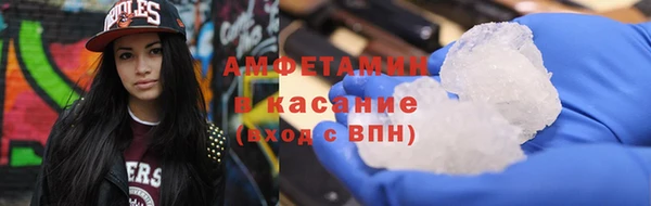 сатива Аркадак