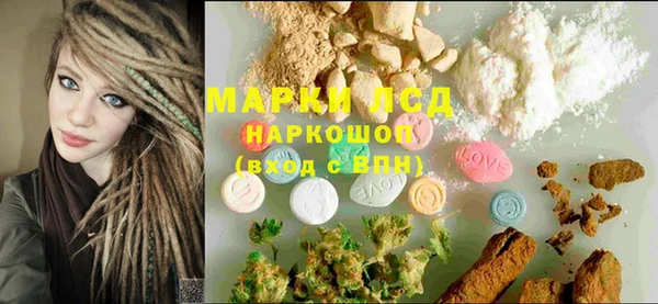 сатива Аркадак