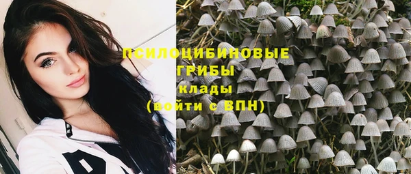сатива Аркадак